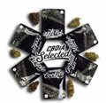 CBDÍA Selected 1g - Blackberry Purple <10% CBD