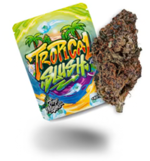 H3 Creamy Clouds 1g - Tropical Slush <10% CBD